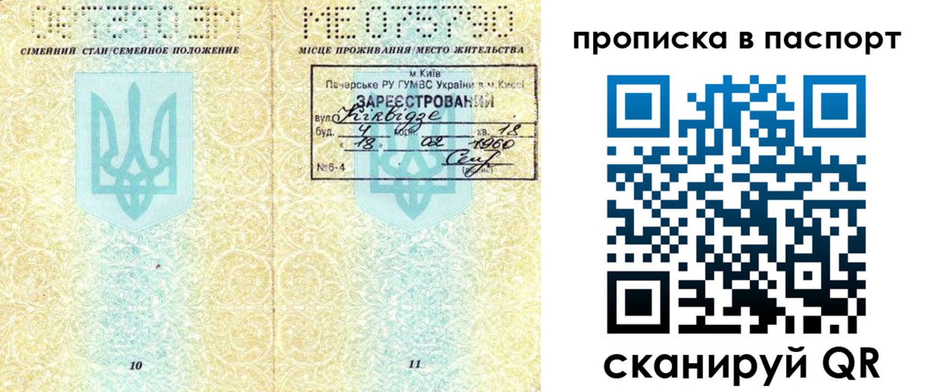 прописка паспорт в Тавде